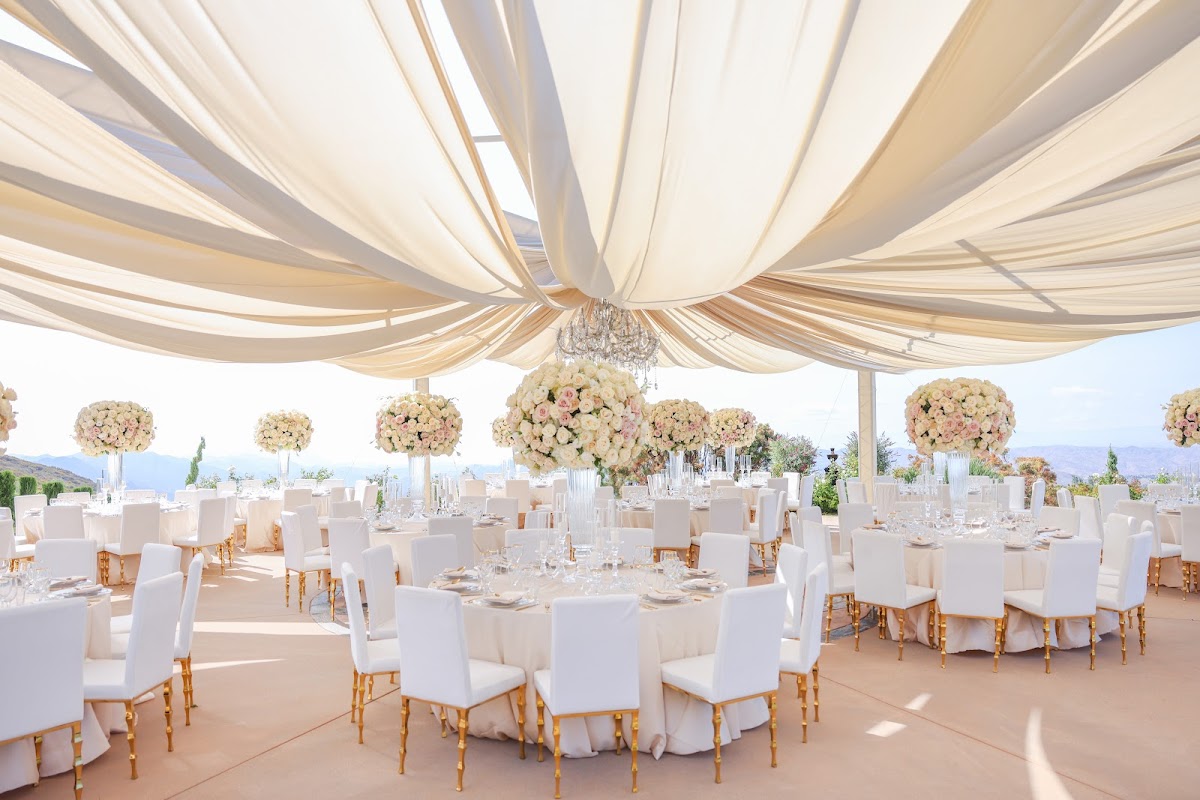 Palace Party Rental: Google Places image 2