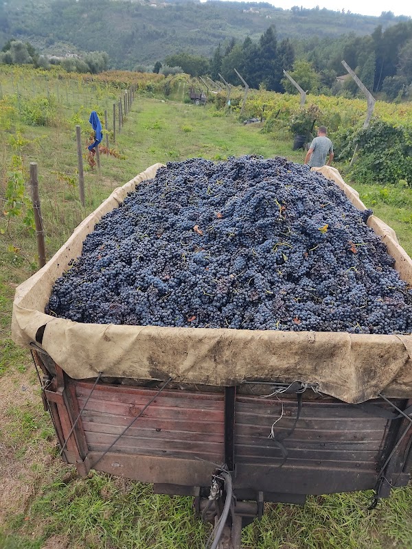 Quinta da Mona