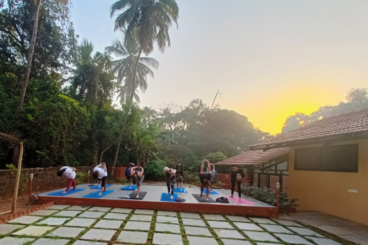 Lotus Nature Cure — 3
