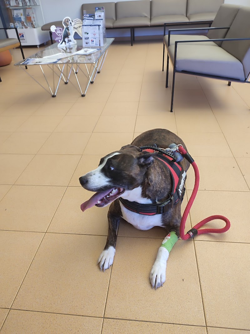 Hospital Clínico Veterinario Universidad de Córdoba