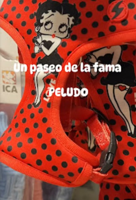 MEU PET de Moisés photo 4