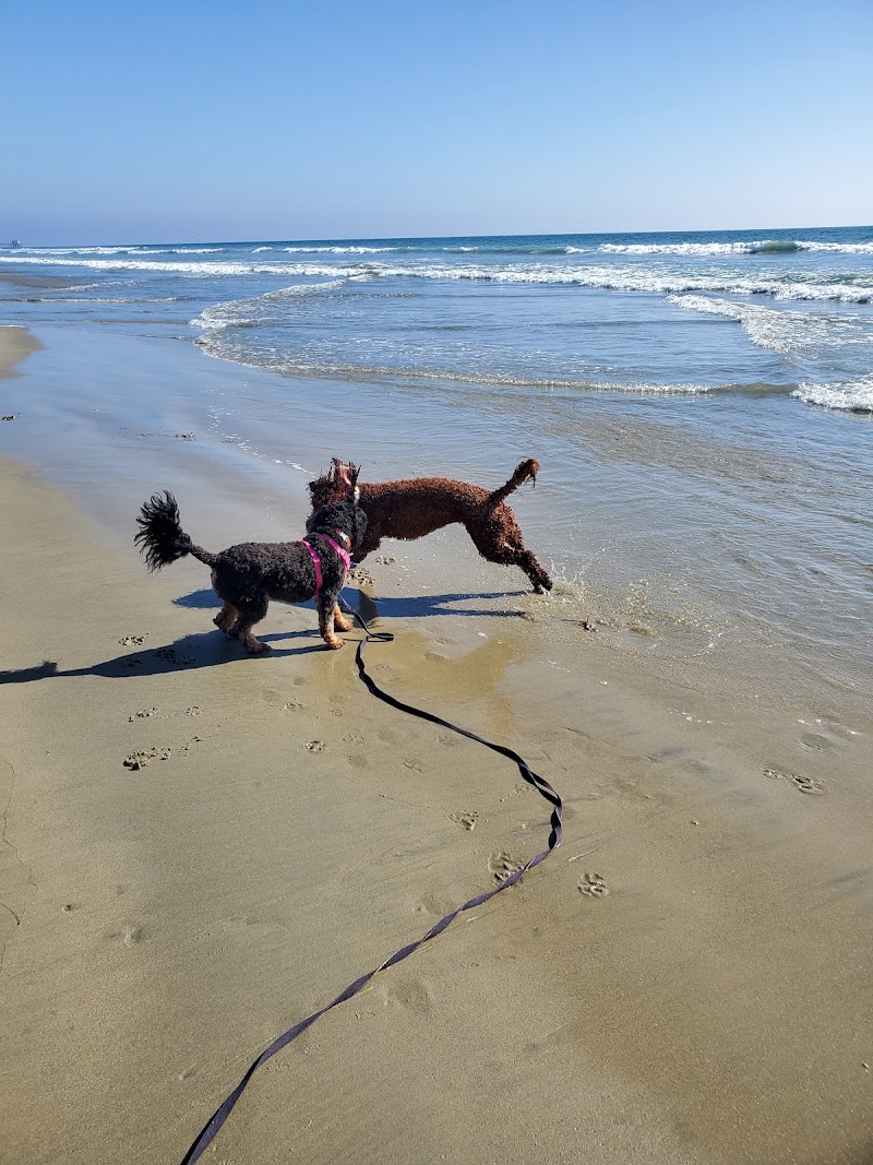 Dog Beach | Huntington Beach in Huntington Beach