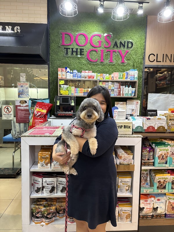 Dogs And the City Uptown