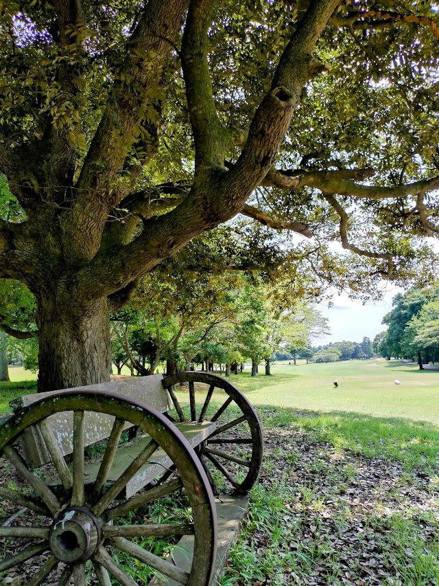Athletic Garden Golf Club - Photo 7