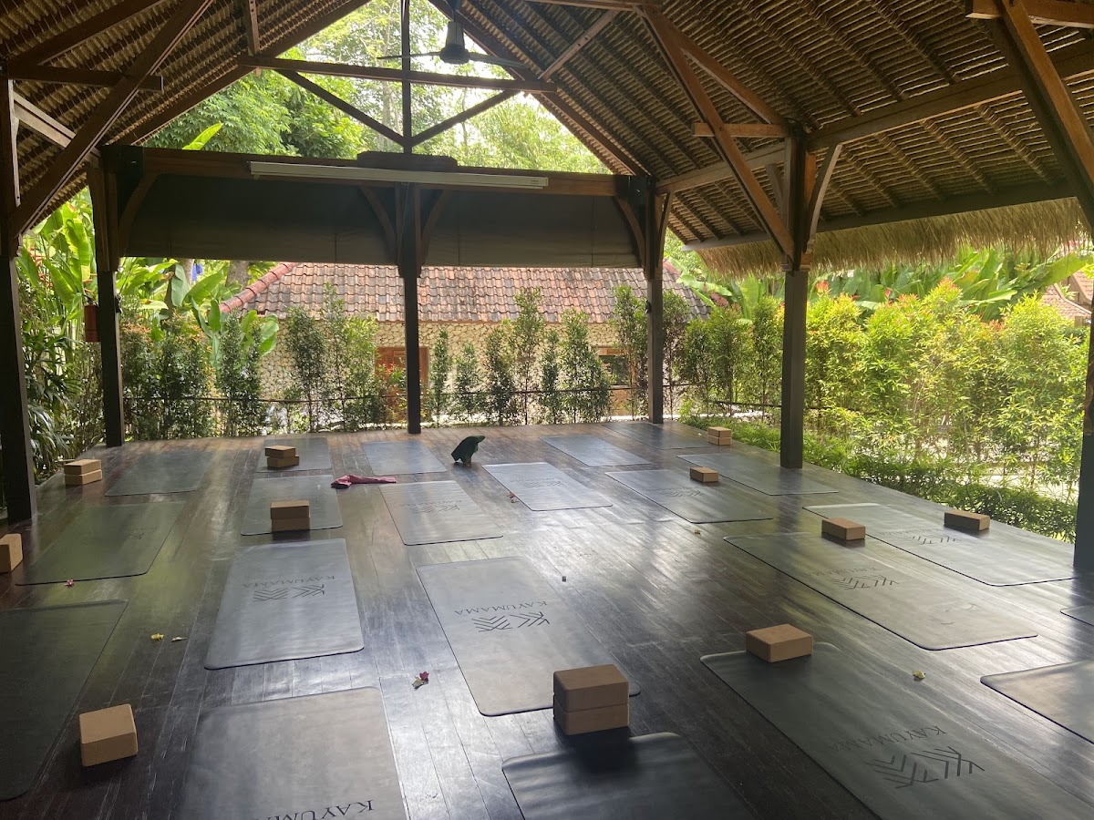 SoHA School of Healing Arts - Yoga Teacher Trainings — 3