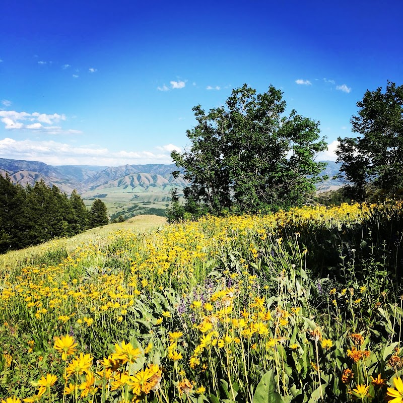West Canyon Ranch - Photo 4