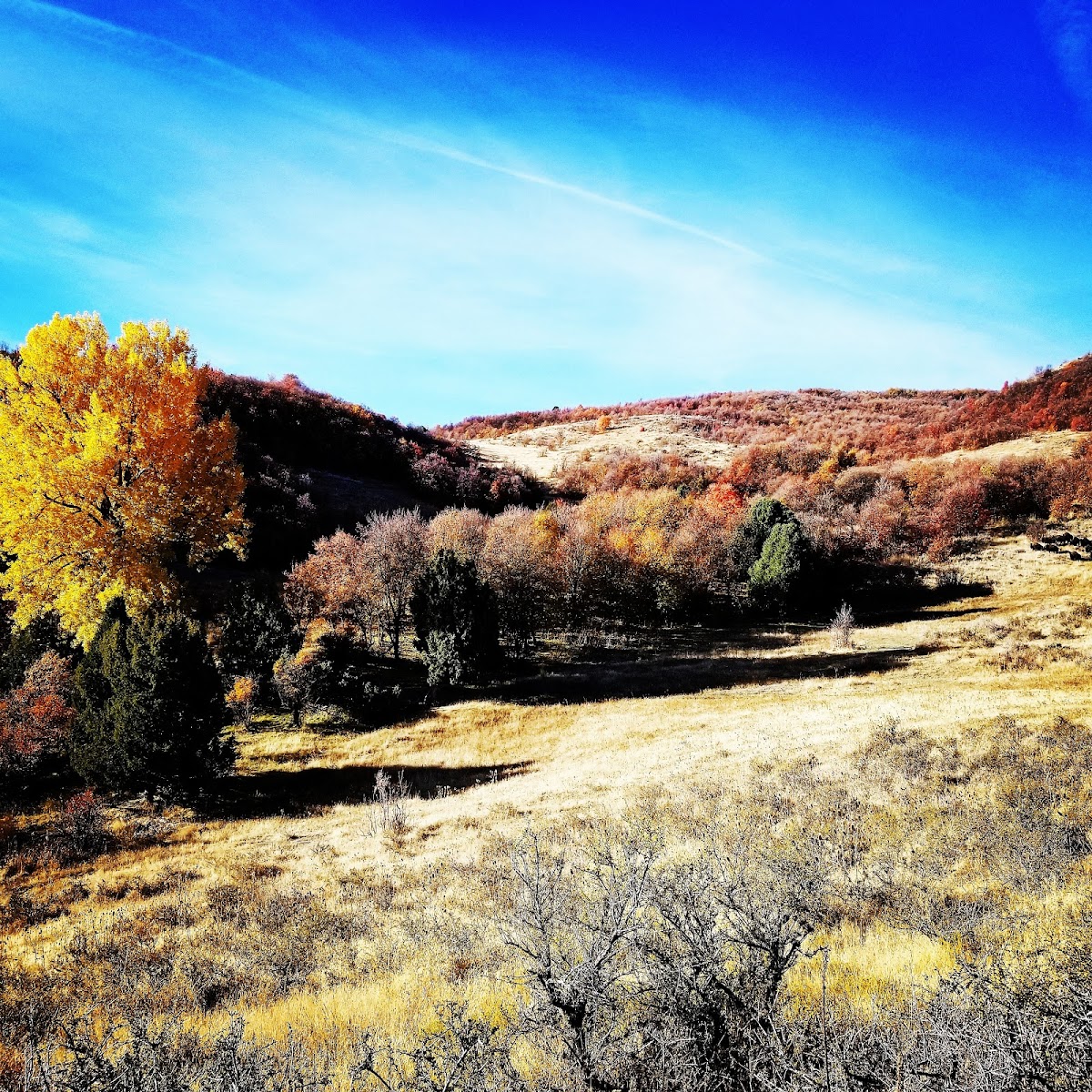 West Canyon Ranch