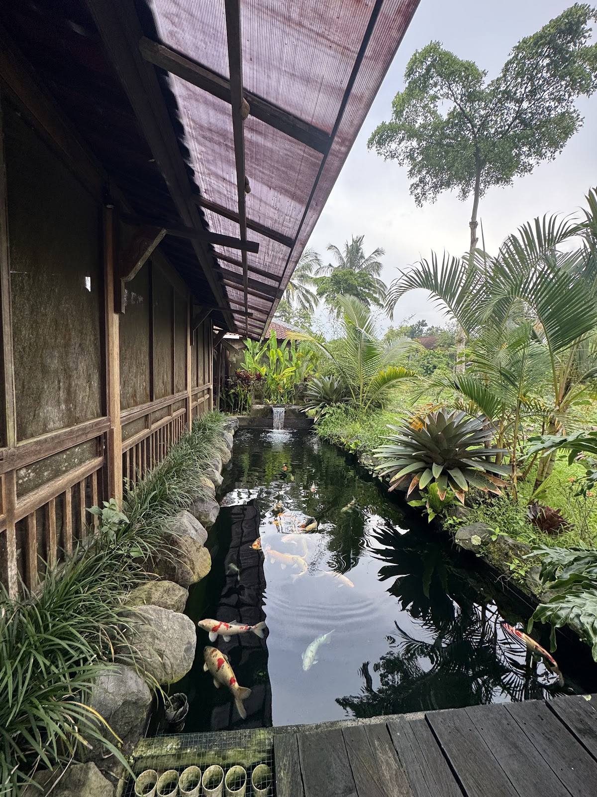 Maitri Retreats - Silent meditation retreats in Bali and Portugal — 4