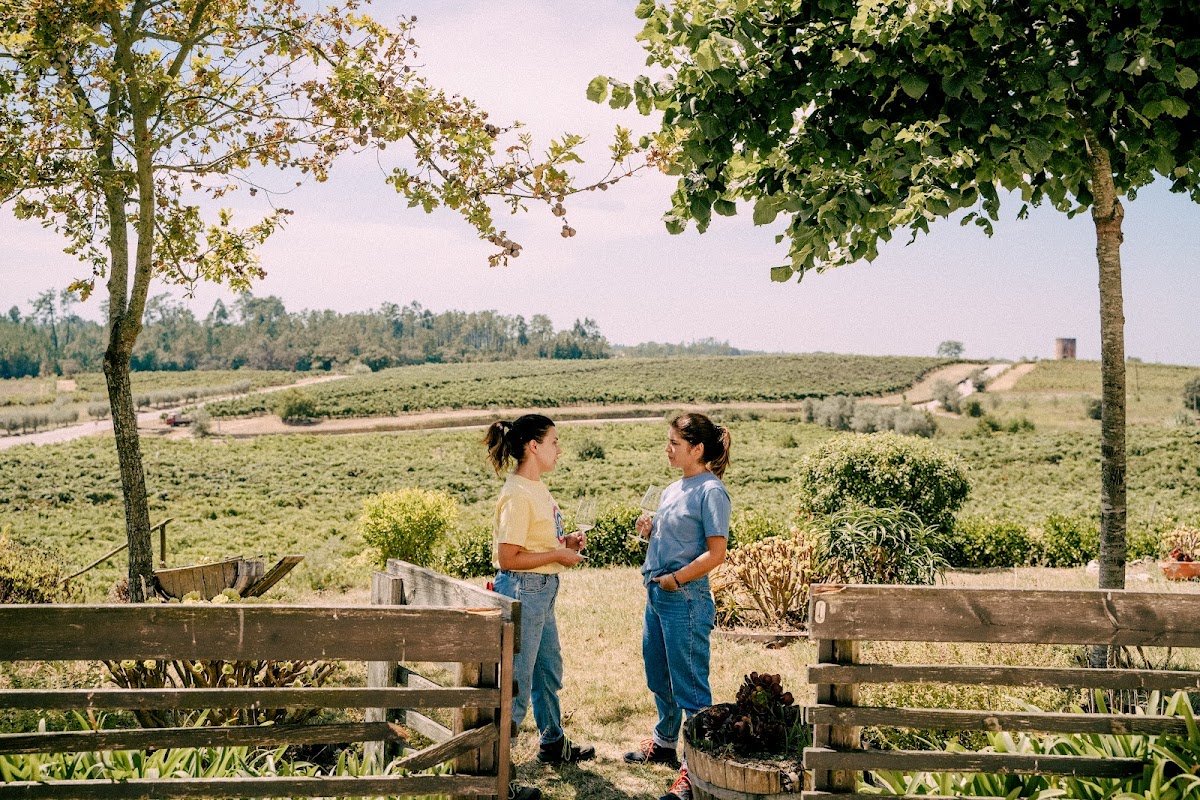 Niepoort Quinta de Baixo - Bairrada