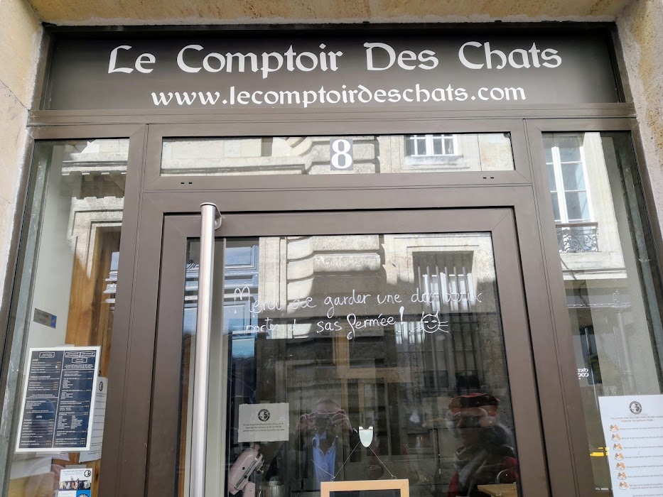 Le Comptoir Des Chats (enfants à partir de 10 ans) fotoğraf 1