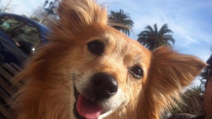 Clínica Veterinaria Prada