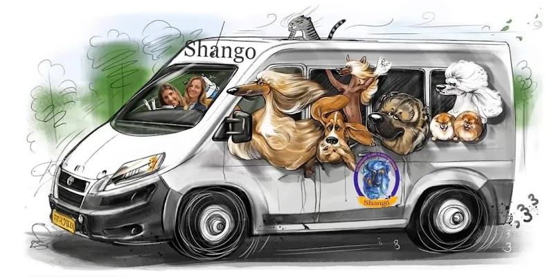 Clínica Veterinaria Shangó