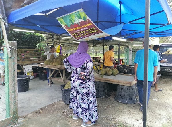 Uncle Chiong Durian Farm - Photo 1