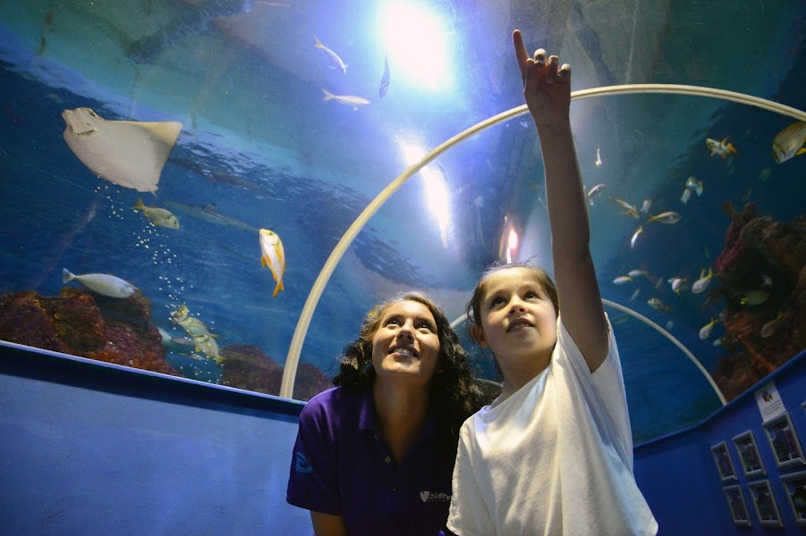 Blue Reef Aquarium Tynemouth