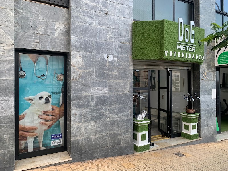 Clínica Veterinaria Mr. Dog