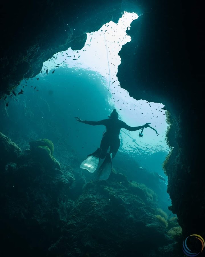 Koh Phangan Freediving School