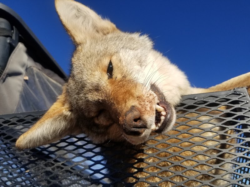 Raging Point Outfitters LLC - Photo 6