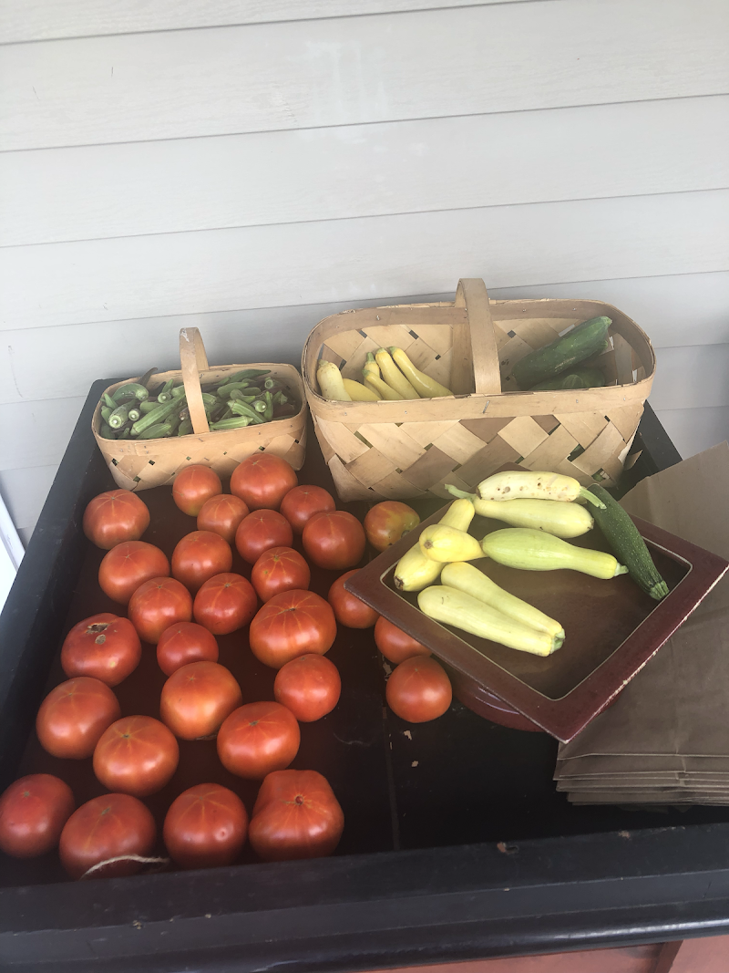 Moonset General Store photo 2