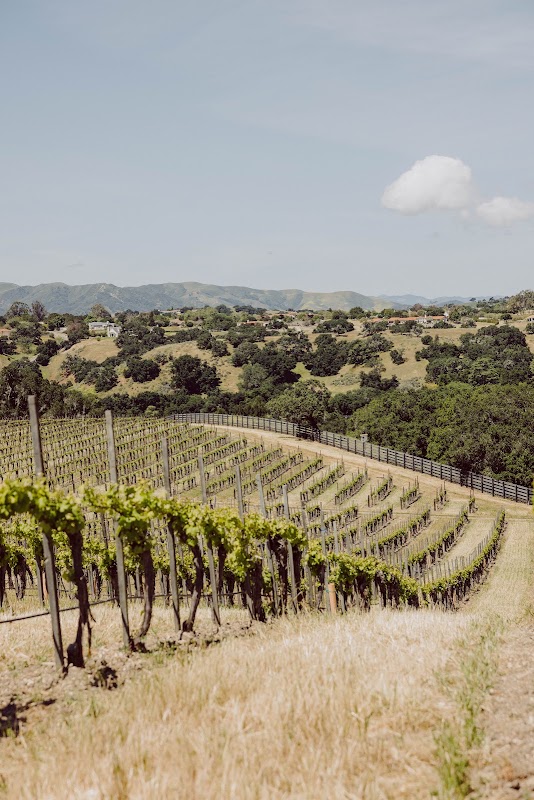Buttonwood Farm & Vineyard
