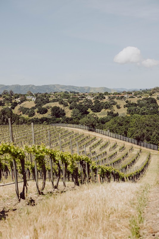 Buttonwood Farm & Vineyard