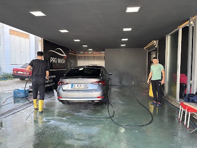 Pro Wash Oto Kuaför Yıkama Güzelbahçe - Temizlik