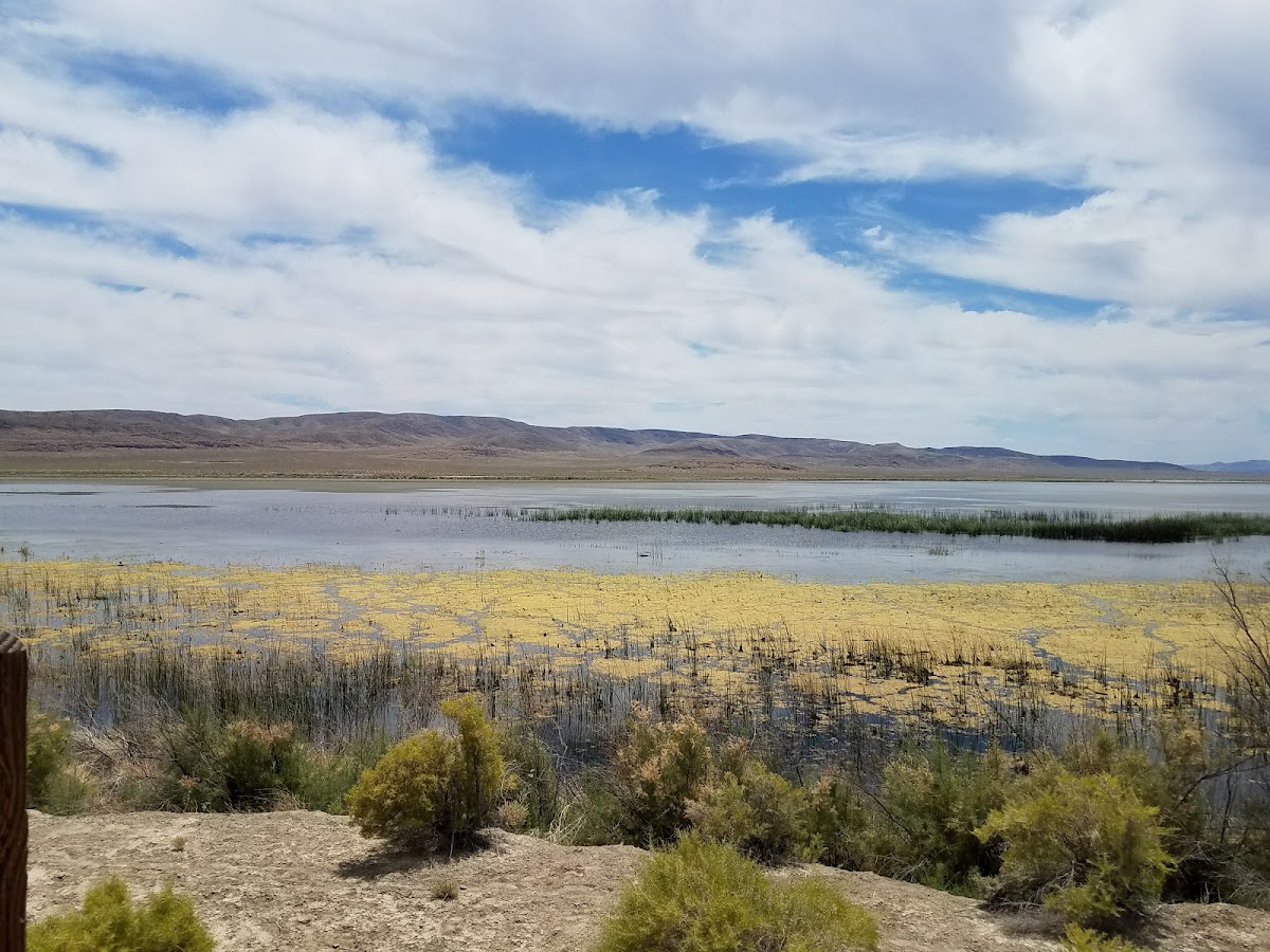 Stillwater National Wildlife Refuge Headquarters