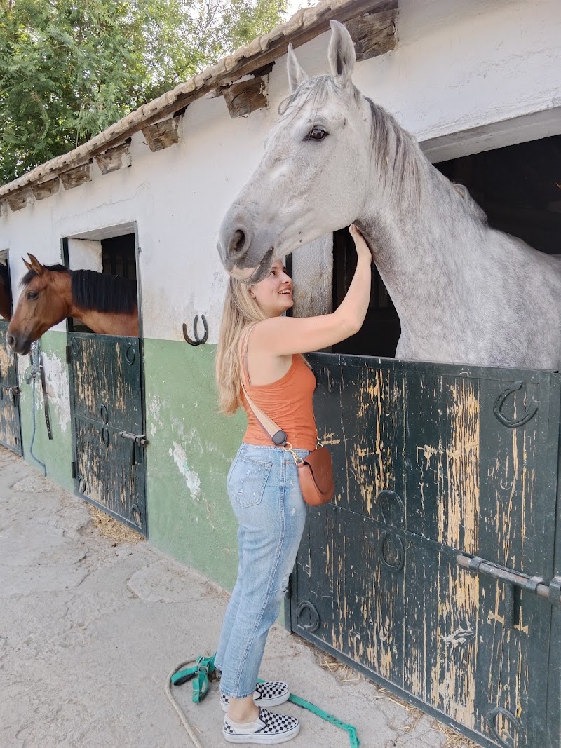 Hípica Montenegro Escuela de Equitación Madrid