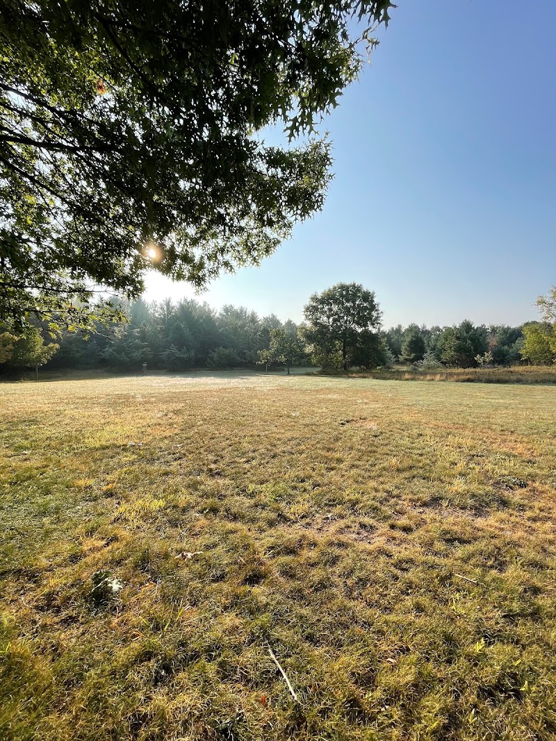 Arcola Heights Park Disc Golf Course photo 2