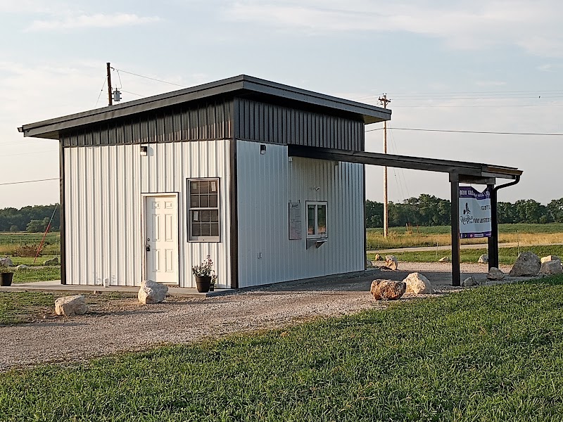 Wild Bloom Coffee - Drive Thru photo 3