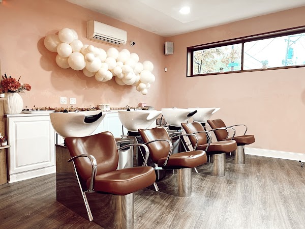Ashlyn Bausman Studio portfolio