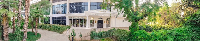 Gallery 1