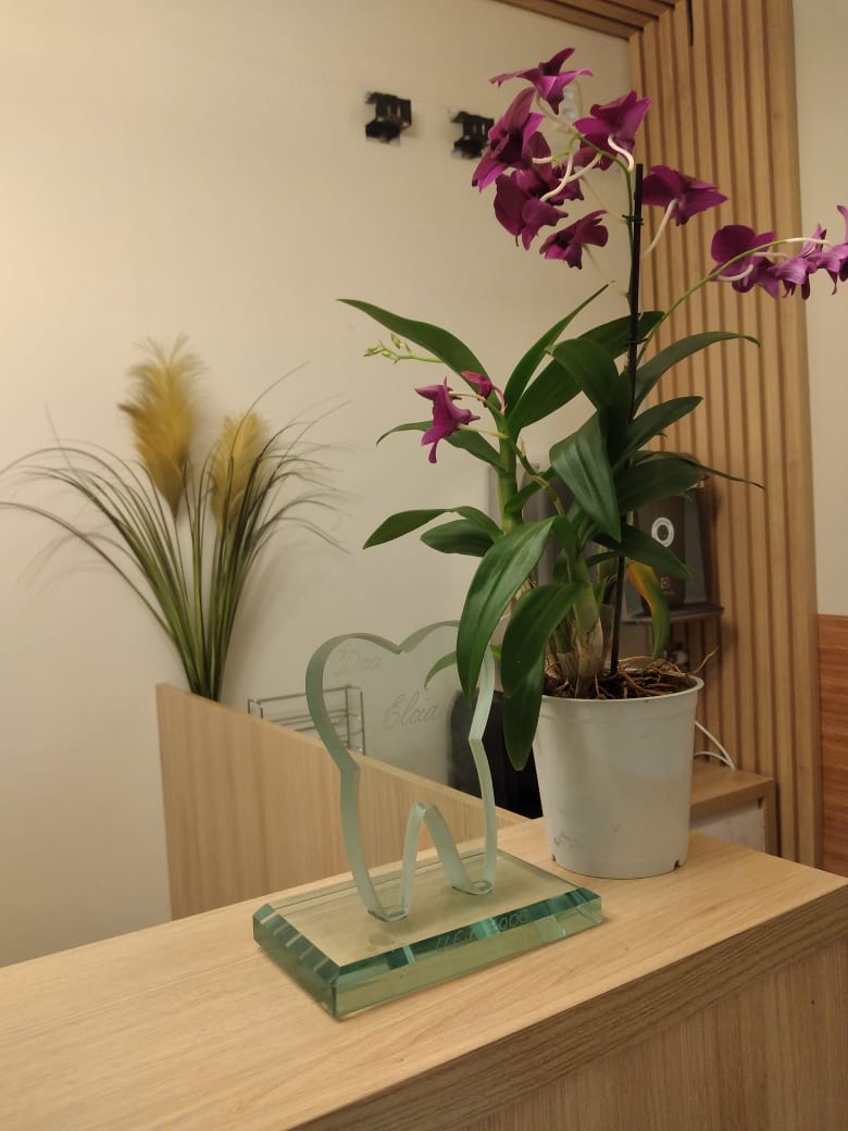 Consultório Odontológico em Manaus - Dra.Elcia de Lima Briglia - foto 4