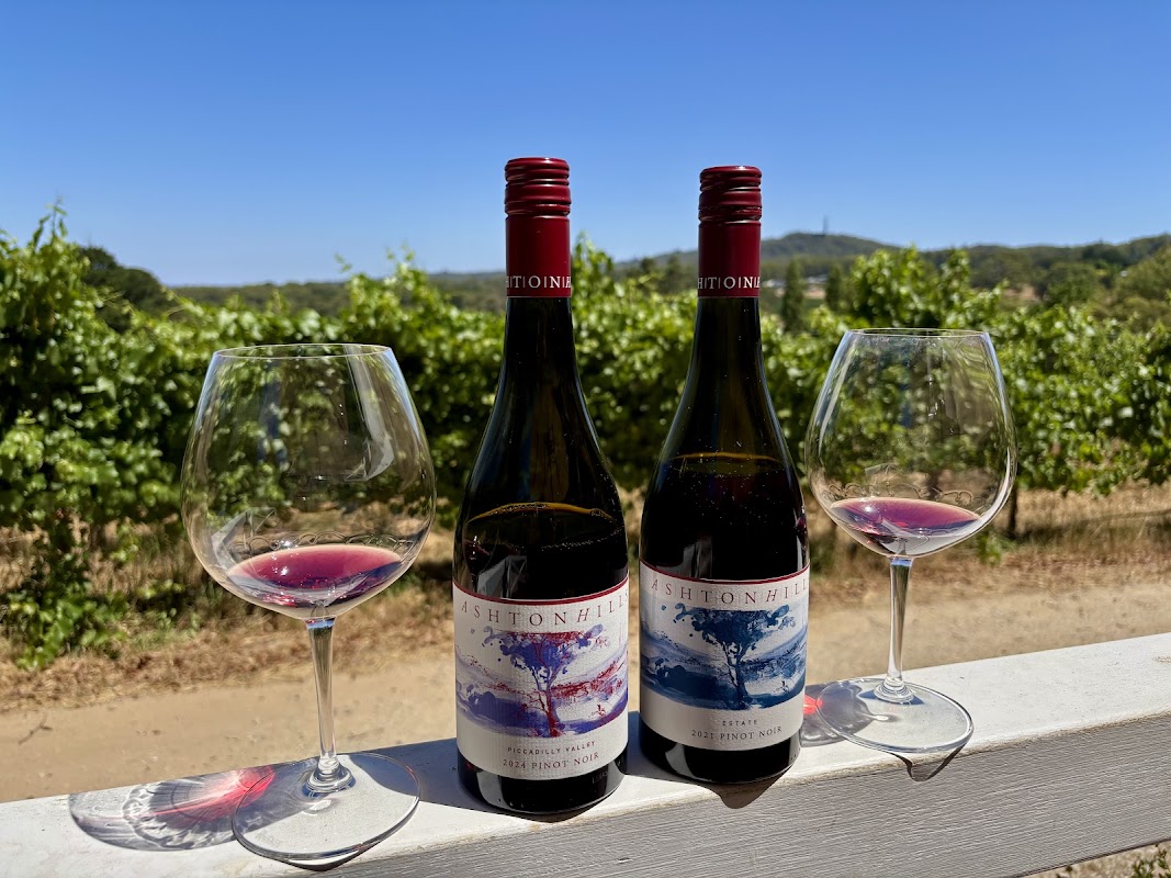 Ashton Hills Vineyard