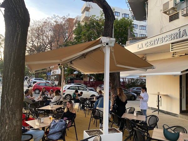 Mr. Triton Cerveceria