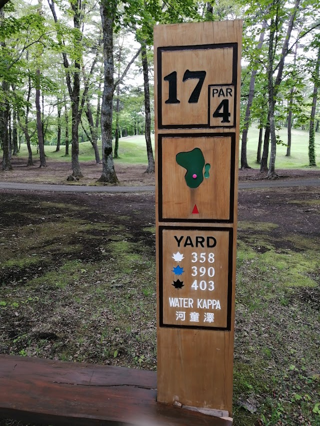 Maple Country Club - Photo 4