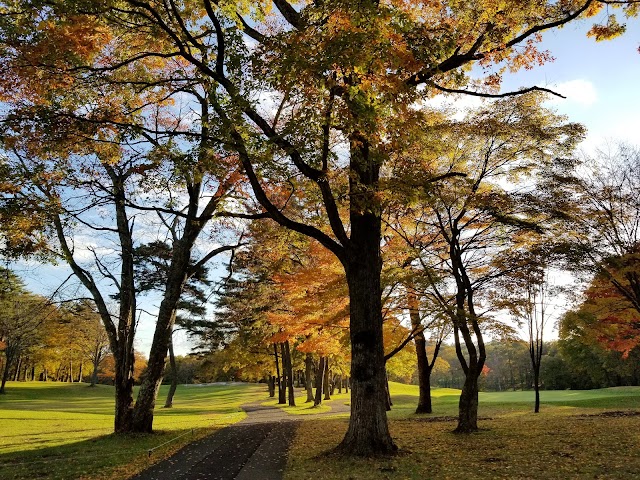 Maple Country Club - Photo 7