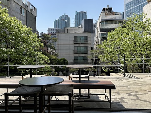 앤트러사이트 서교점 마포구 애견카페
