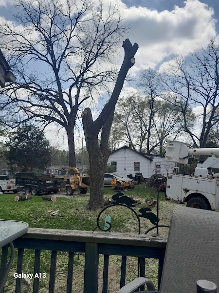 MFG Tree Service LLC