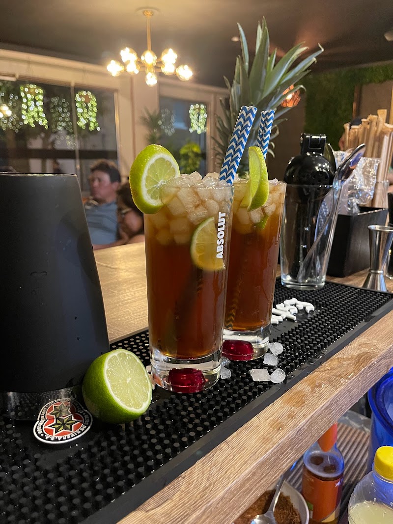 Ayahuasca lounge bar photo 3