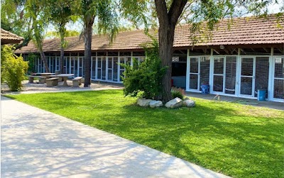 בוביפום פנסיון לכלבים