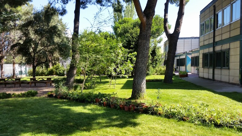 City Public School Jaén