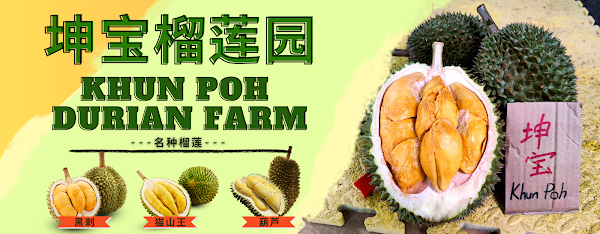 Khun Poh Durian Farm () - Photo 1