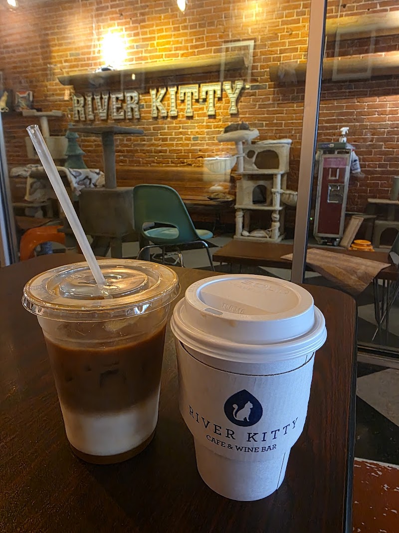 River Kitty Cat Cafe photo 4