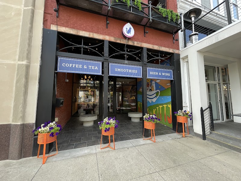 River Kitty Cat Cafe photo 1