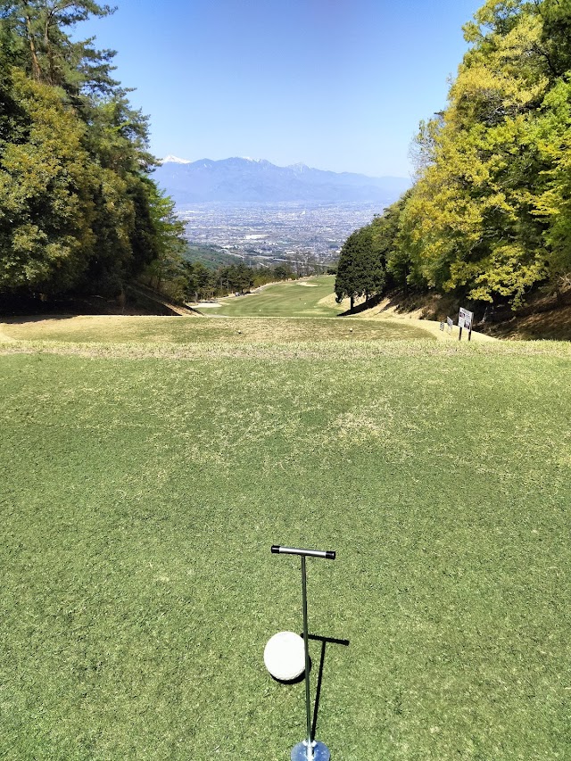 Woodstock Country Club - Photo 2
