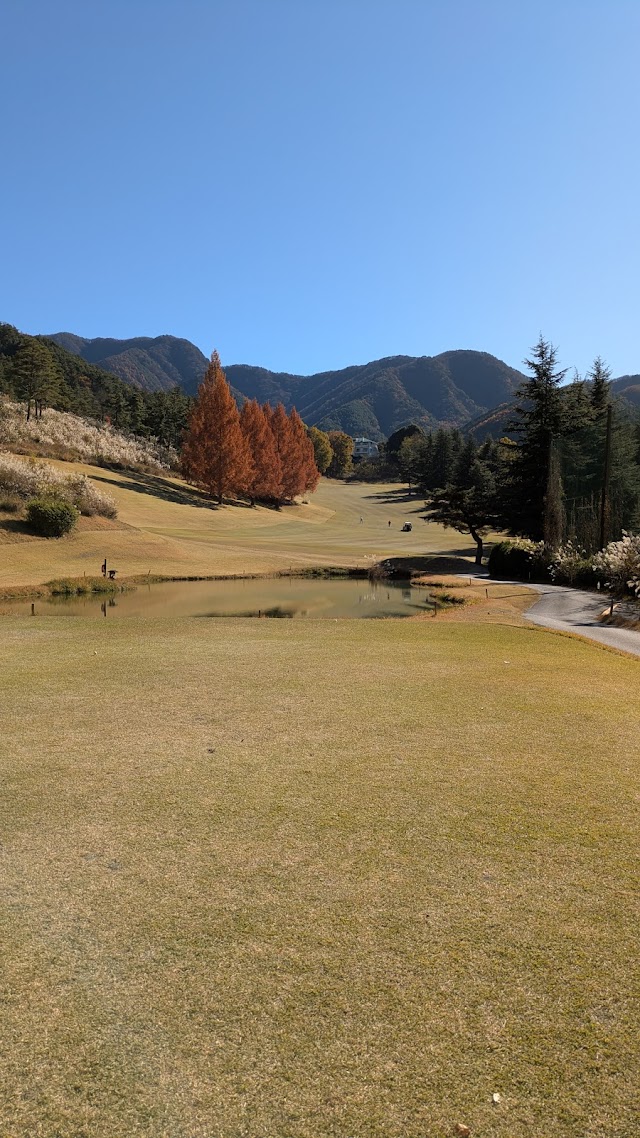 Woodstock Country Club - Photo 4