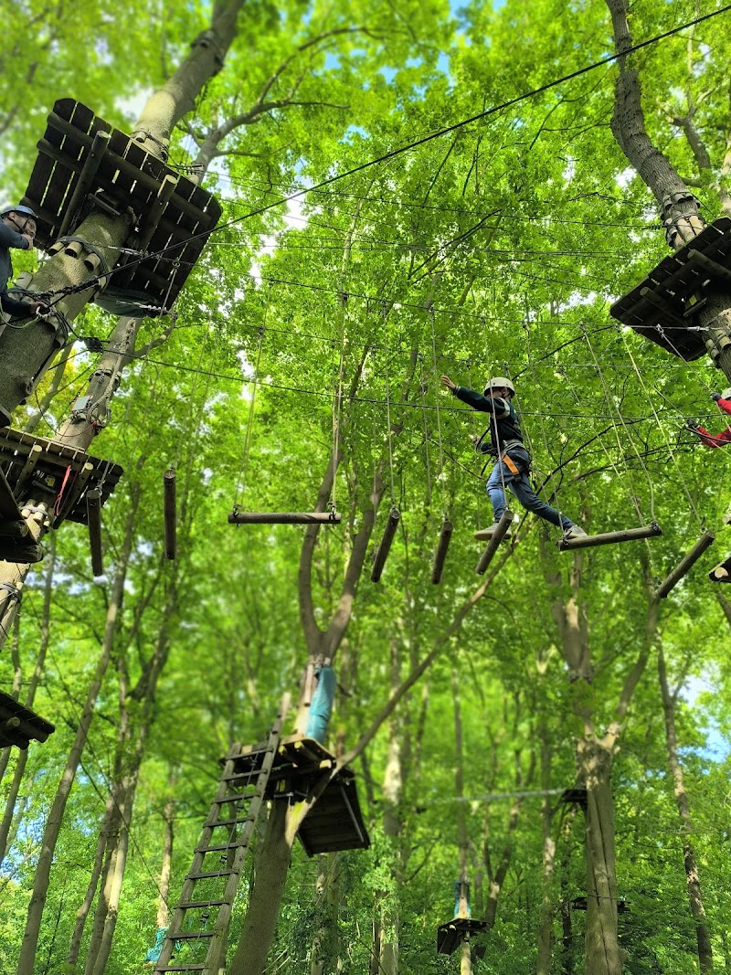 Fun Forest Rotterdam