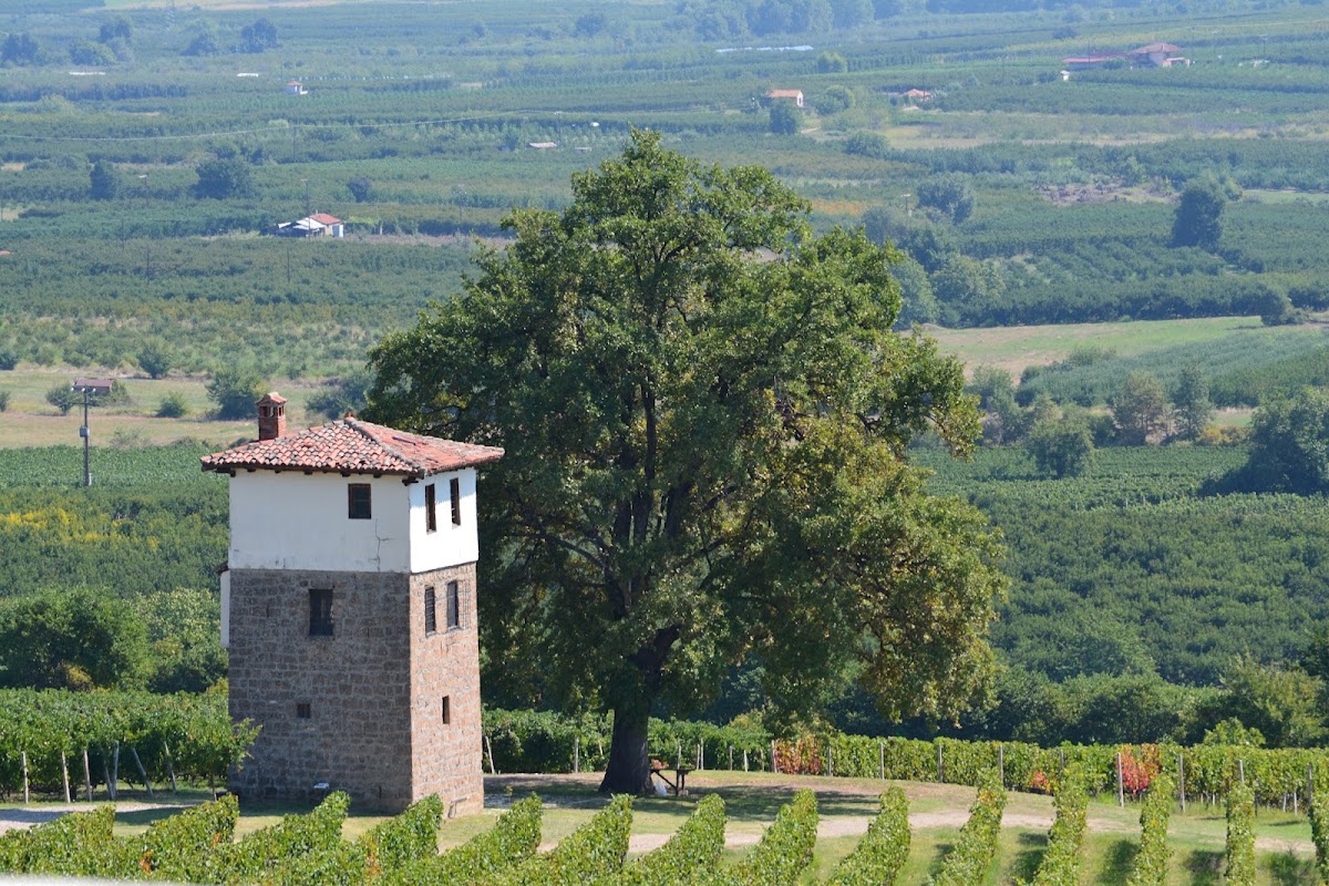 Kir-Yianni Winery