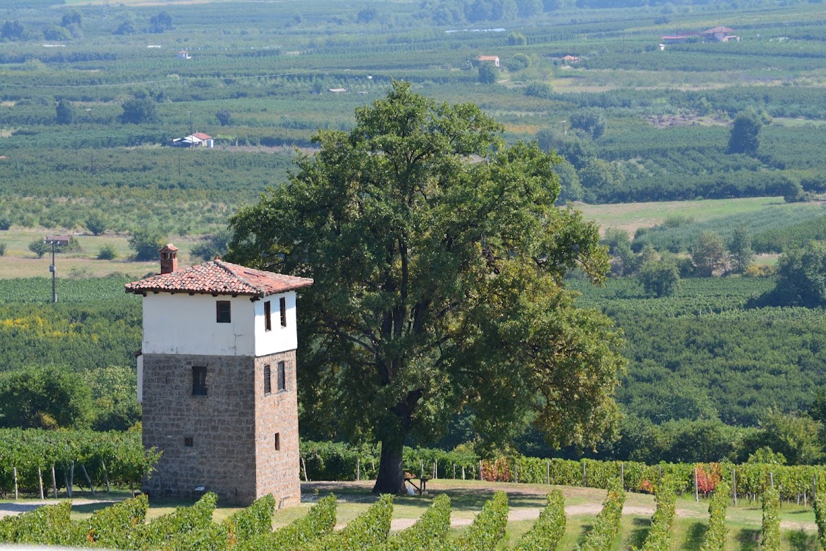 Kir-Yianni Winery