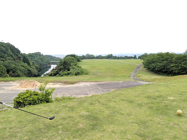 Hannan Golf Club (9H Par 66) - Photo 8